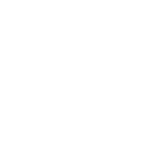 Logo Blanc Earlynn Music